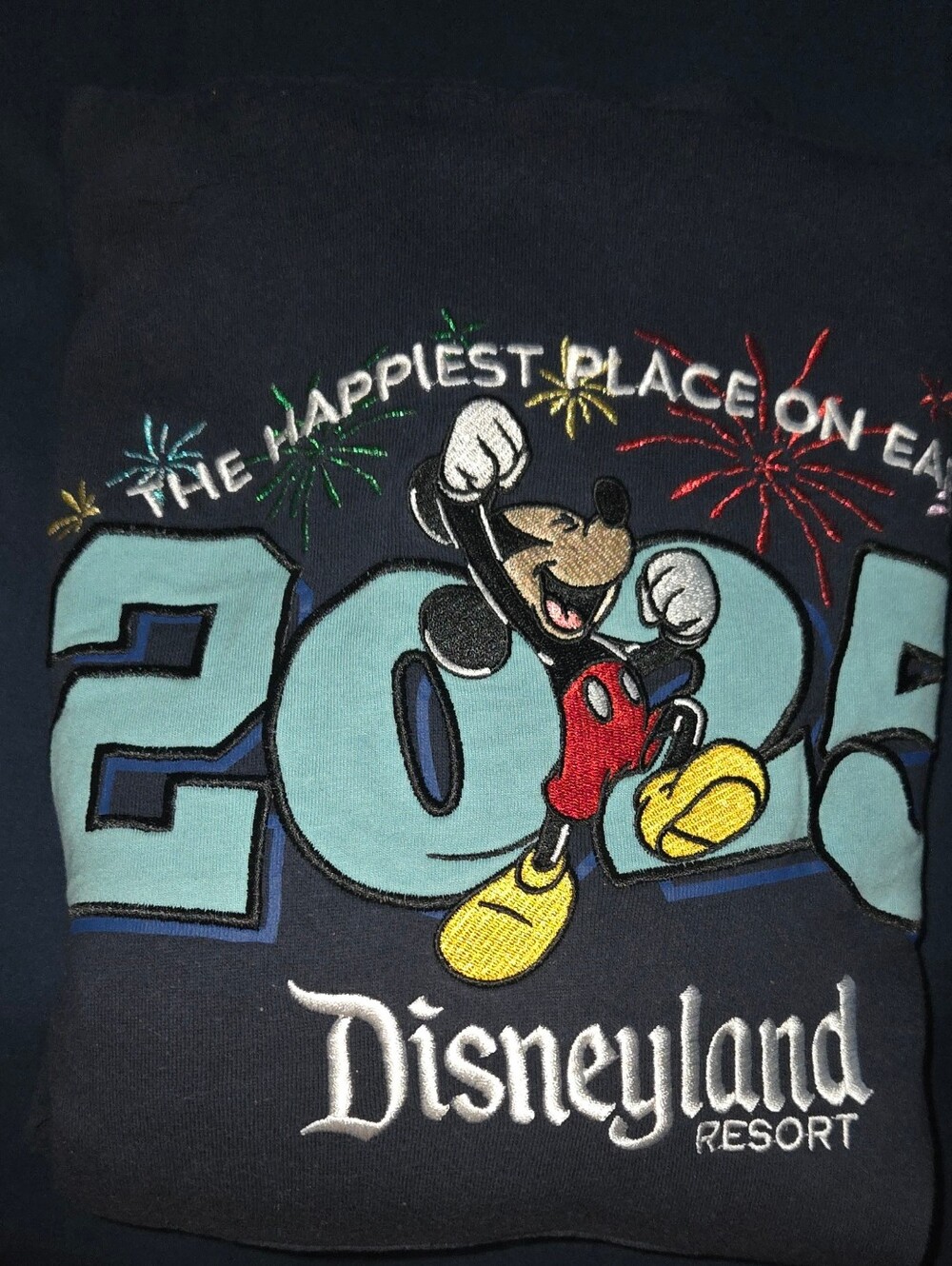 Disneyland Resort Navy 2025 Hoodie Sweater Sz L
